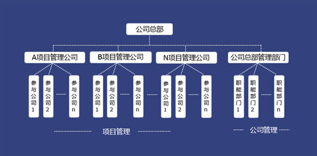 項目管理和公司管理